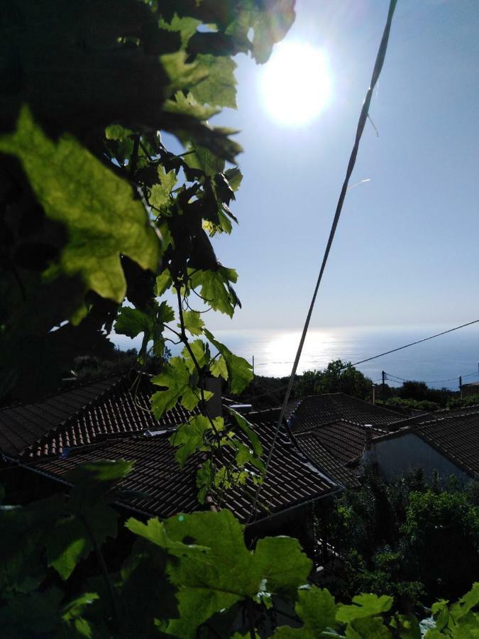 Lefki'S House Apartment Drymon Bagian luar foto